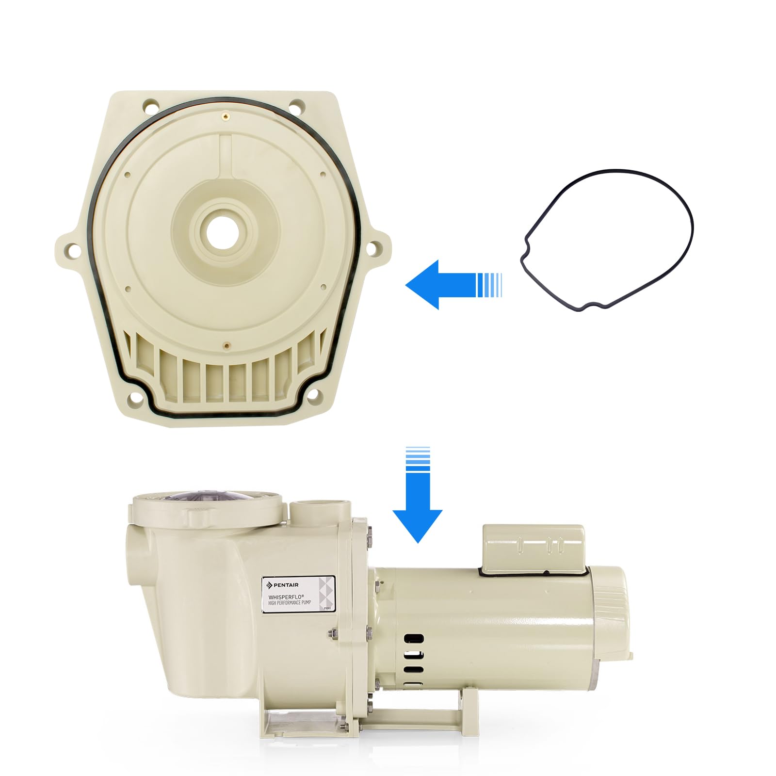 Kit Plaque D'Étanchéité Pompe Piscine Pentair 074564 / 5074-18A Avec Joint Arbre - Compatible WhisperFlo IntelliFlo