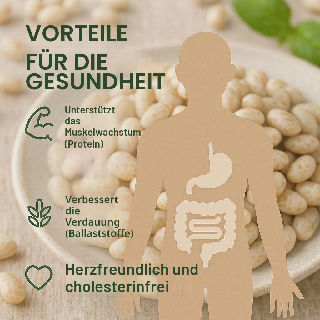 GiDeli Weiße Bohnen Getrocknet 20 kg im Eimer - proteinreich, natürliche Hülsenfrüchte ohne Zusätze - ideal für Suppen, Eintöpfe, Salate - Küche, Gastronomie, Catering