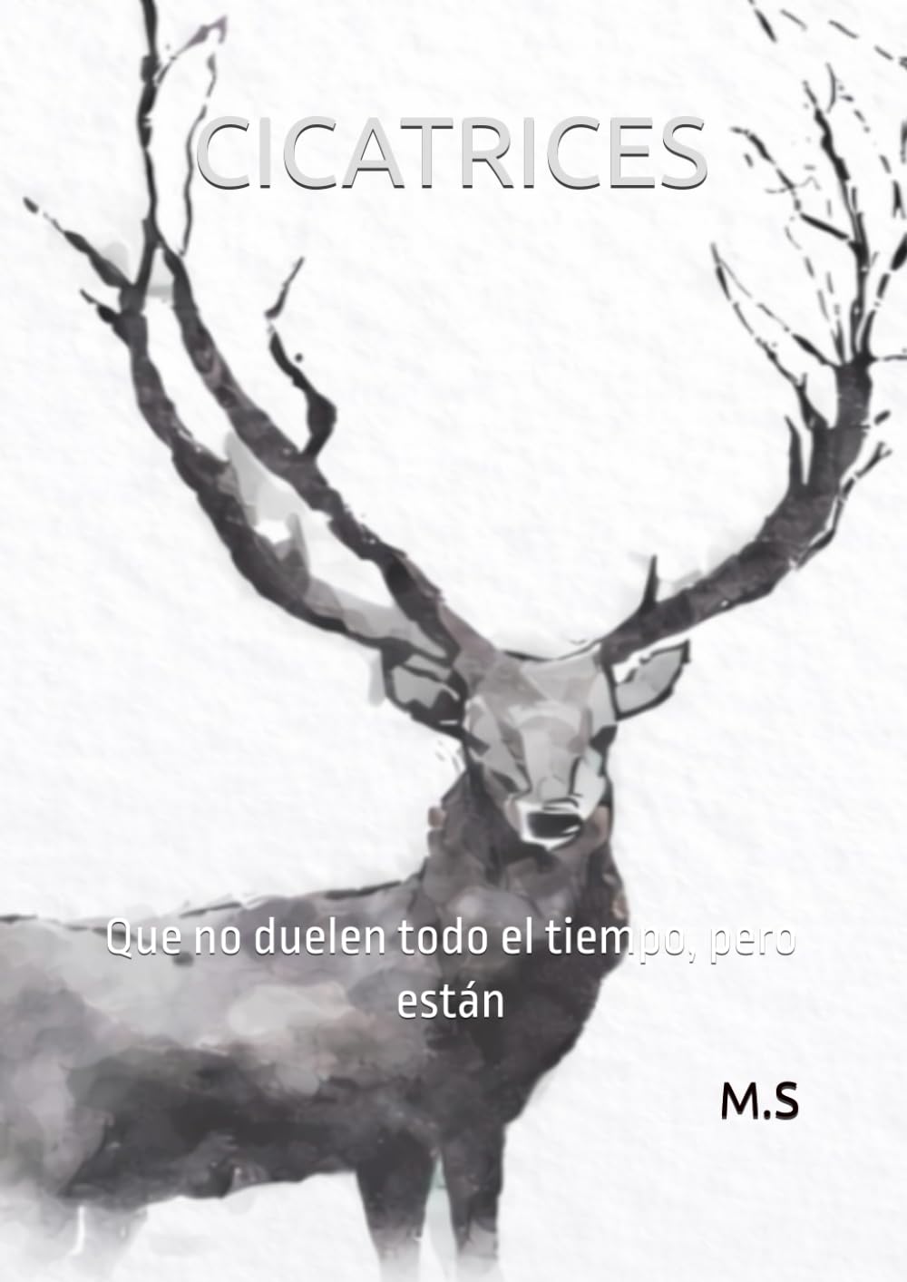 CICATRICES: Que no duelen todo el tiempo, pero están