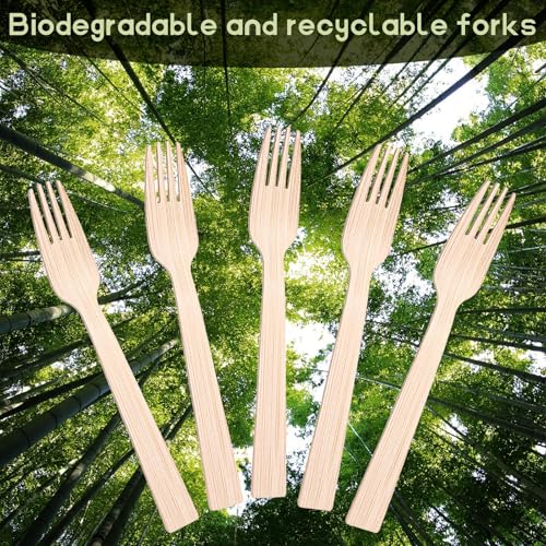 300 Pack Disposable Wood Cutlery Forks 6.7 Inch Disposable Bamboo Forks Splinter-Free Wooden Fork for Parties, Camping, Weddings, Dinner Events - Thumbnail 4