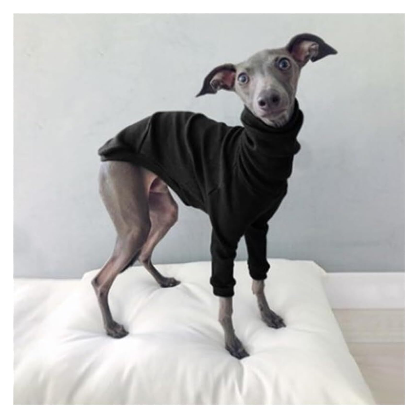 Manteau pour chien Greyhound – Veste à col roulé extensible à col montant pour lévriers whippets et lévriers italiens, pyjama d'hiver chaud à deux pattes (noir, taille XXL)