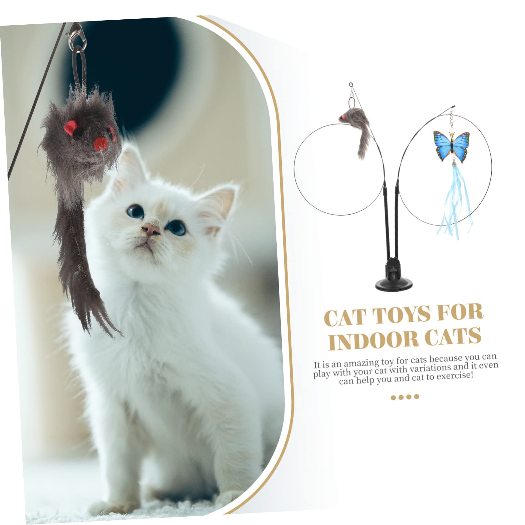 INOOMP 4pezzi Interattivo Per Gattini Attività Indoor Per e Divertimento Feline