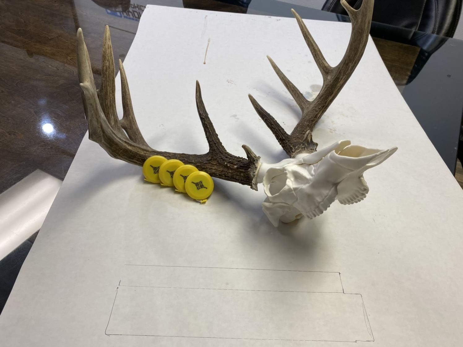 Phone Skope Antler Measuring Tape for Deer and Buck Scoring | Compact and Convenient Hunting Gear | Measure Trophies, Fish, and More