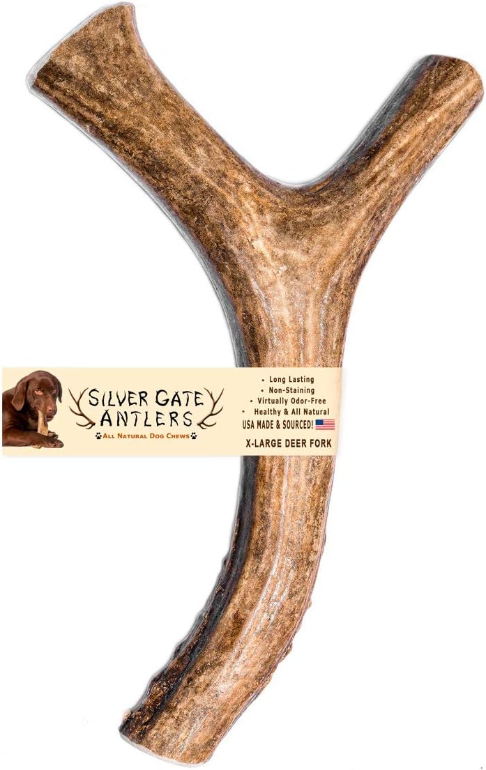 Silver Gate Antlers Deer Antlers for Dogs - Deer Dog Chew X Large (XL) Fork 8 to 10 Inch - USA All Natural Dog Chew Toys for Aggressive…