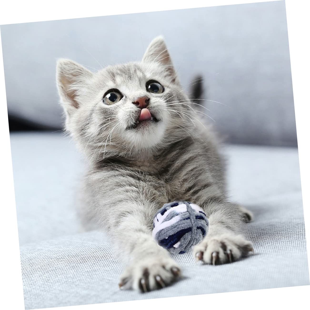 Beaupretty 10pièces Jouets Pelote pour Chats avec Cloches Jouets Interactifs De Mâcher pour Chats Et Chatons pour Éveiller Et Amuser Vos Animaux De Compagnie