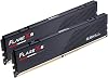 G.SKILL Flare X5 Series DDR5 RAM (AMD EXPO) 32GB (2x16GB) Hasta 6000MT/s CL28-36-36-96 1.40V Memoria para Computadora de Escritorio U-DIMM - Negro Mate (F5-6000J2836G16GX2-FX5) 1
