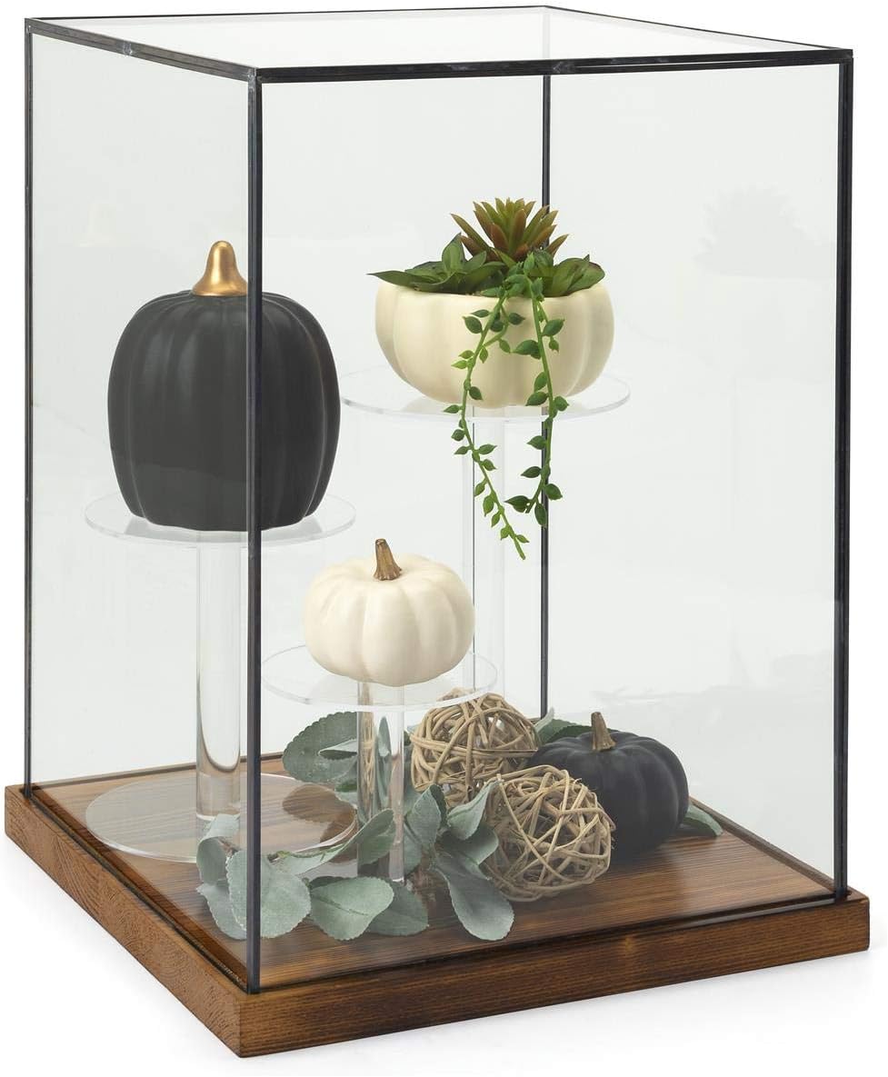 Displays2go Wood Base Countertop Display Case, Black Copper Edge – Clear (DCPIPELL)