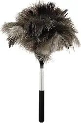 ZJRDYYK Espanador extensível de penas de avestruz, espanadores de penas extensíveis de 39 a 119 cm para limpeza de tetos altos, ventiladores, teias de aranha, persianas, poeira de telhado, escritório