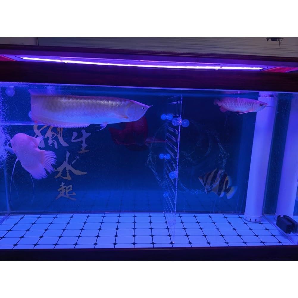 Rygcrud Séparateurs pour Aquariums Panneau en Acrylique De 5 Mm D'épaisseur avec Ventouses, Séparateur De Poissons pour Éviter Les Bagarres, pour Diviser l'espace(37x65cm)