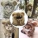 YAWALL Pet Costume Cosplay Lion Mane Wig Cap Hat for Cat Halloween Xmas Clothes Fancy Dress with Ears Autumn Winter
