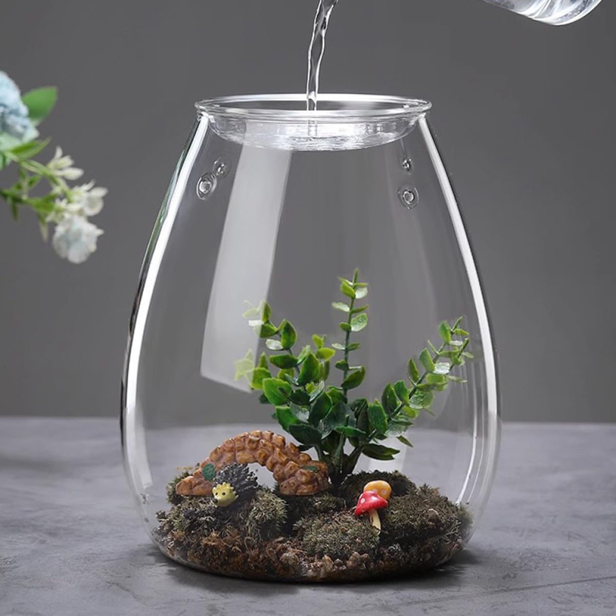 OSALADI Terrarium Glasflasche Ökologische Pflanzflasche Mikrolandschaft Selbstgemacht Behälter für Moos Pflanzen Wohndeko Wohnzimmer Büro