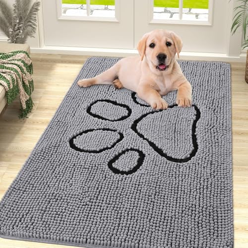 How to train a dog to walk on hardwood floors