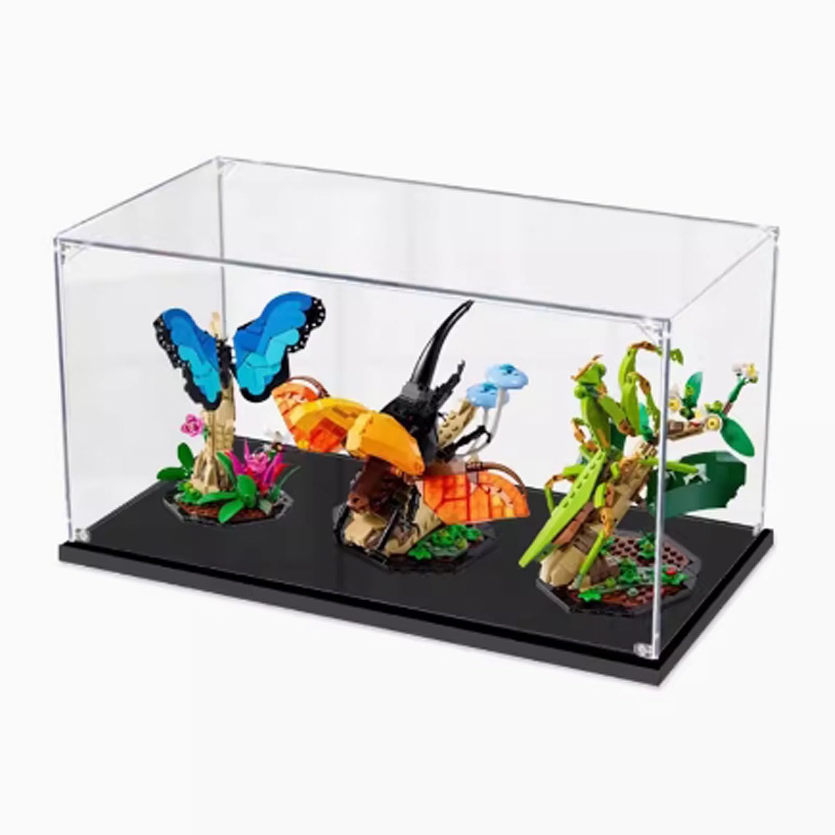 Amazon.com: Acrylic Display Case for Lego 21342 Insect Series