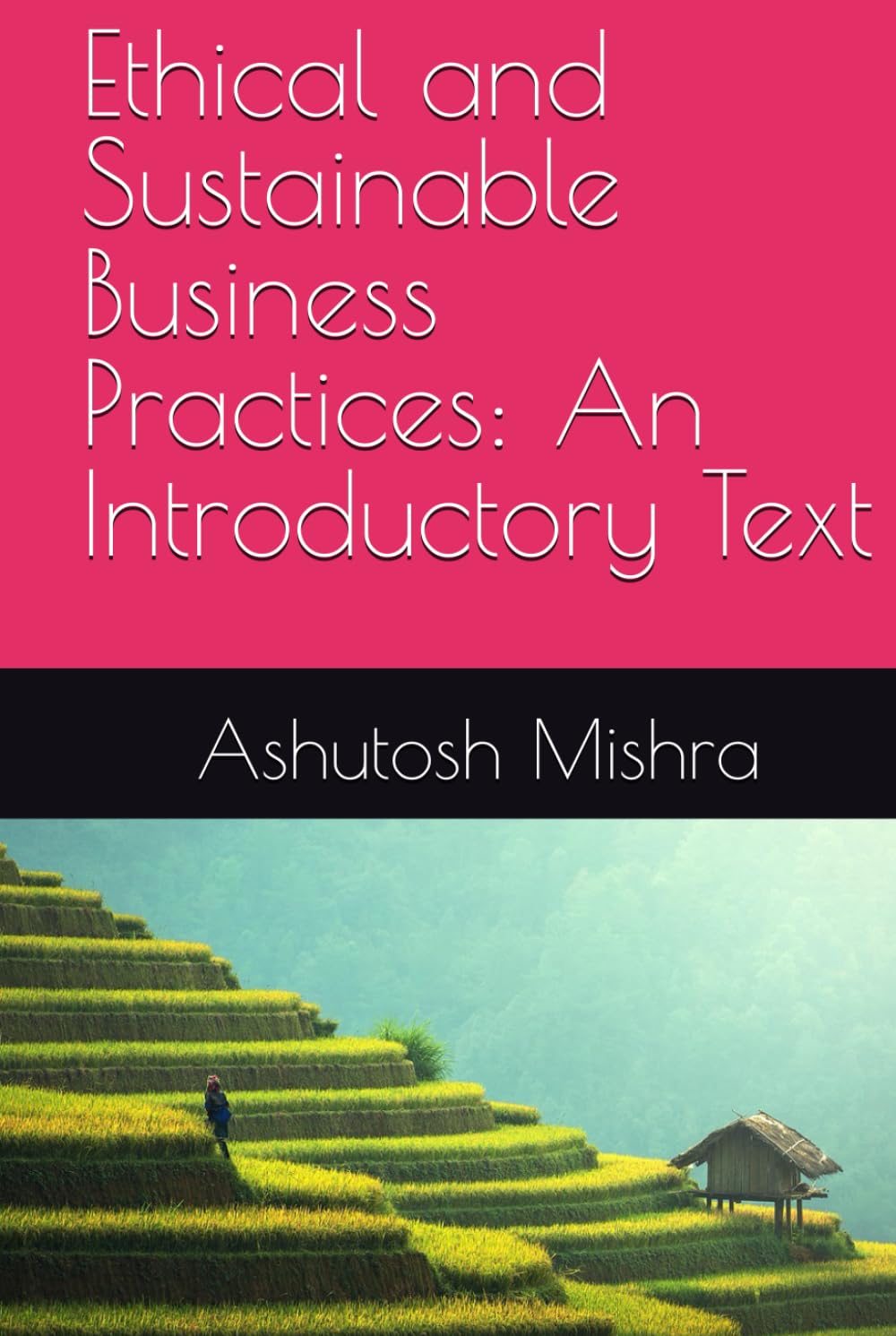 Ethical and Sustainable Business Practices: An Introductory Text