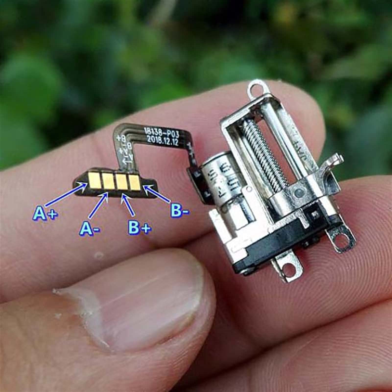 Amazon.co.jp: Lcuihua-耐摩耗性 ミニ5mmステップモーター、精密遊星