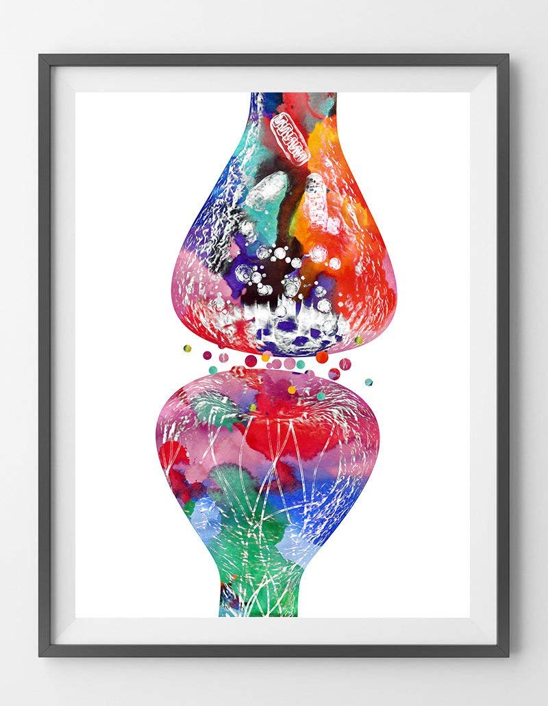 Human Nerve Cell Synapse receptor Watercolor Print Brain Neurology Poster Neurotransmitters Medical Art neuronal receptor Science Wall Art