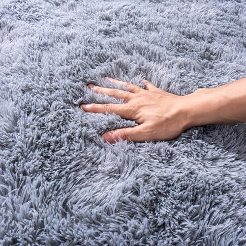 Small Rugs for Bedroom, Fluffy 2x3 Rug Throw Non Slip for Bedside Dorm Kids Room, Plush Comfy Shag Carpet for Home Decor Aesthetic, Grey