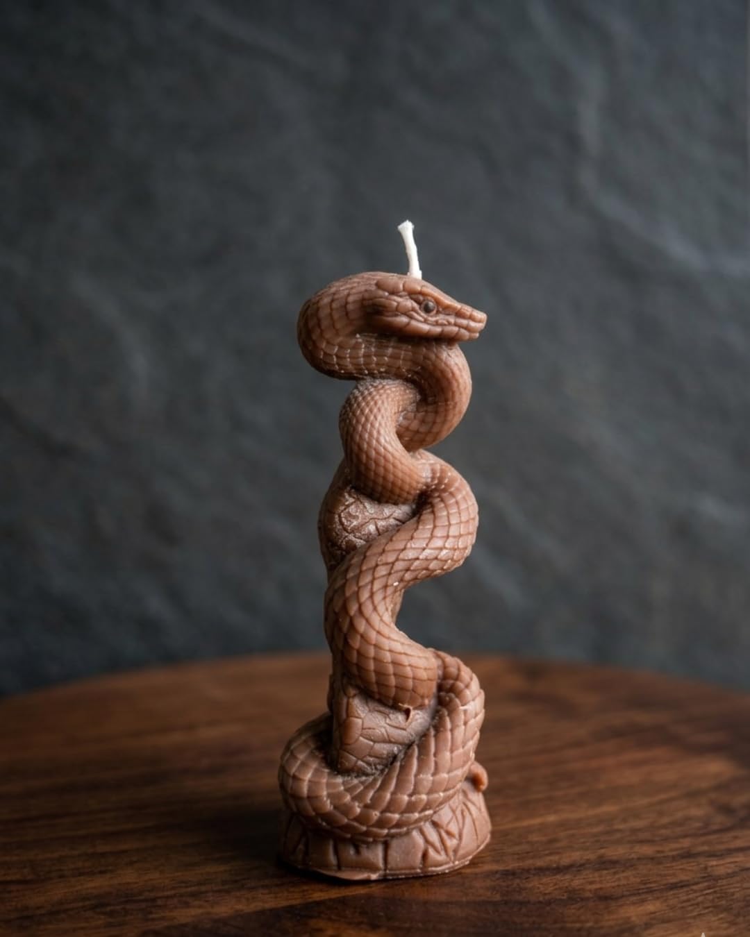 Hand-Poured Coiled Snake Pillar Candle – Intricate Serpent Decor – Unscented Natural Wax – Gothic & Dark Academia Home Accents (Brown)-image-10
