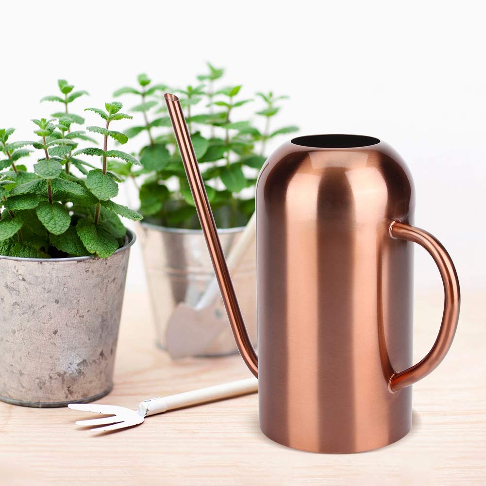 Regadera de Acero Inoxidable de 1.5L, Regadera Retro de Boca Larga para Plantas Suculentas Herramienta de Jardín para Flores y Plantas de Interior y Exterior