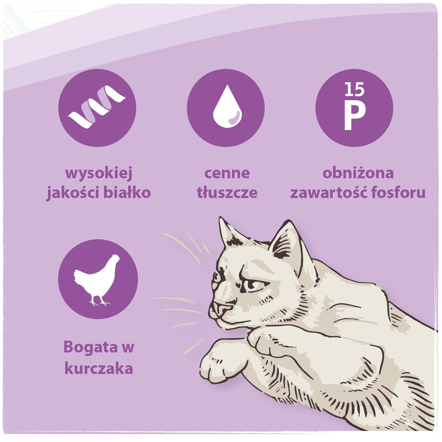 Venandi Animal Vet – Sucha karma premium dla kotów - Dieta – Niewydolność nerek/Renal – Kurczak, 1er Pack (1 x 1,5kg),bezzbożowy
