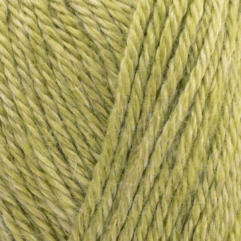 West Yorkshire Spinners Elements DK 1104 Palm Leaf — image 1