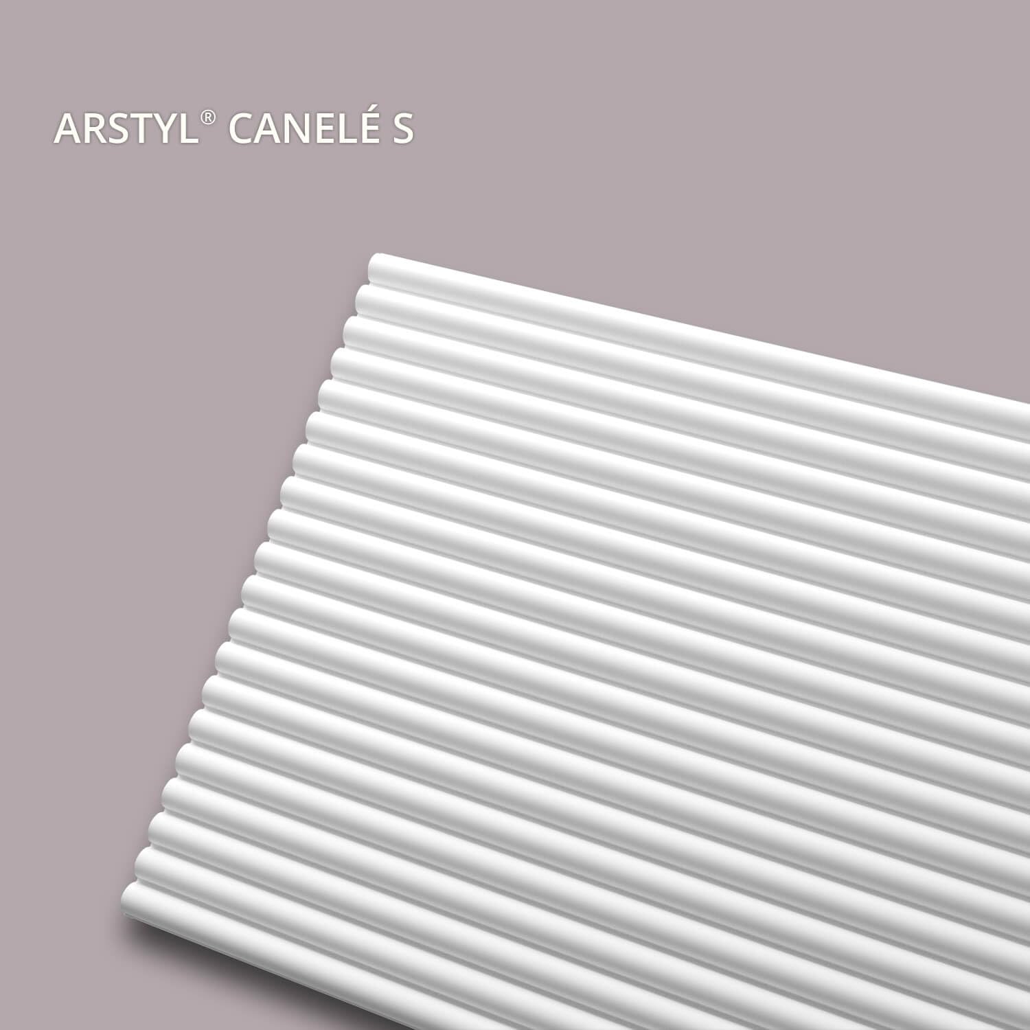 NMC CANELÉ S ARSTYL Panel Mural 3D de Poliuretano, Revestimiento de Pared con Diseño de Listones Modernos, Panel Decorativo Acanalado Blanco Pre-imprimado, 300 x 15 x 2000 mm, Estilo Palillería