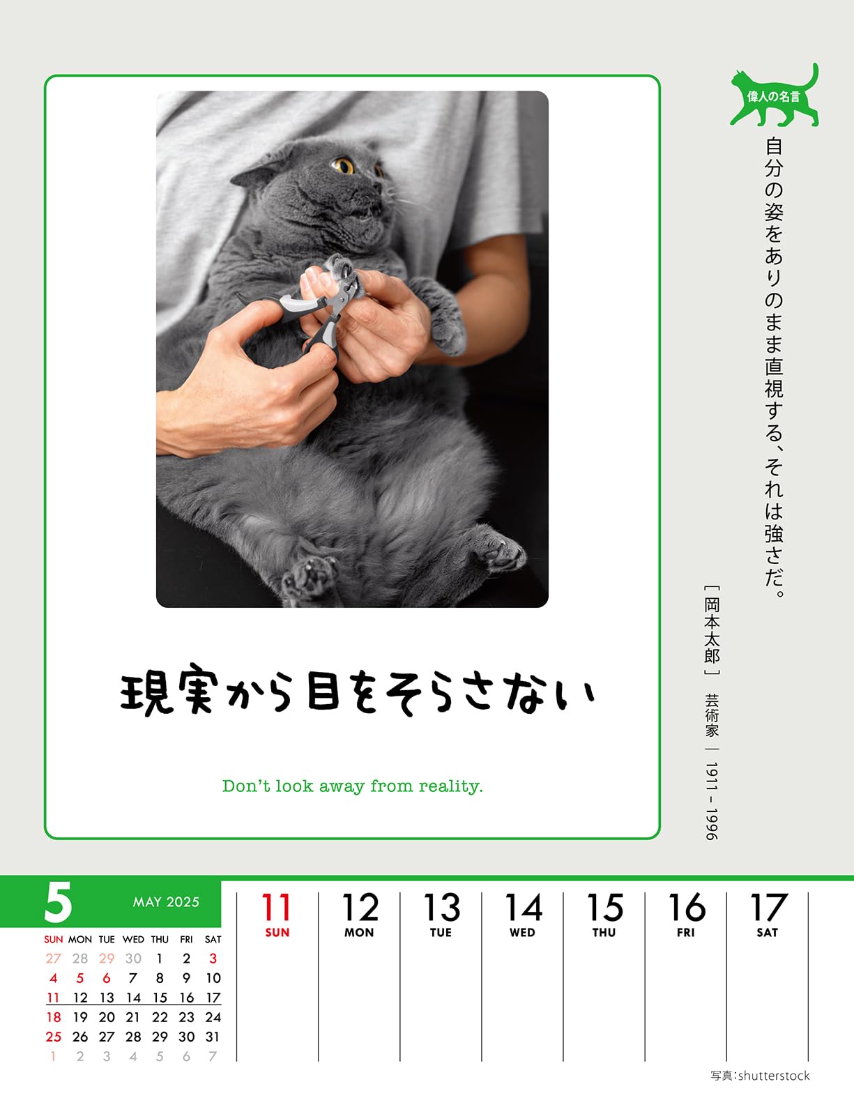 Amazon.co.jp: トライエックス 人生はニャンとかなる！ 卓上