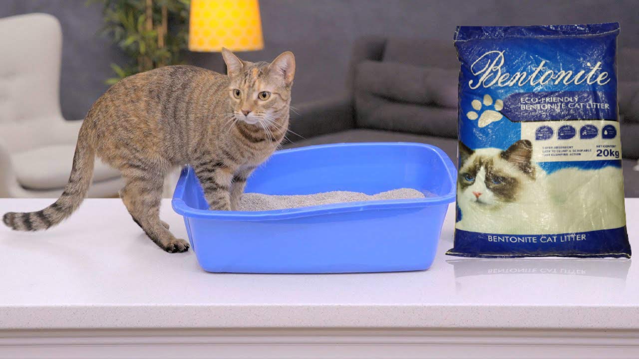 Buy Pets Empire Cat Toilet Cats Application Cat Sand Bentonite Clay 100