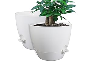 12 Inch 2-Pack Self-Watering Planters: Nourish Your Plants with Ease