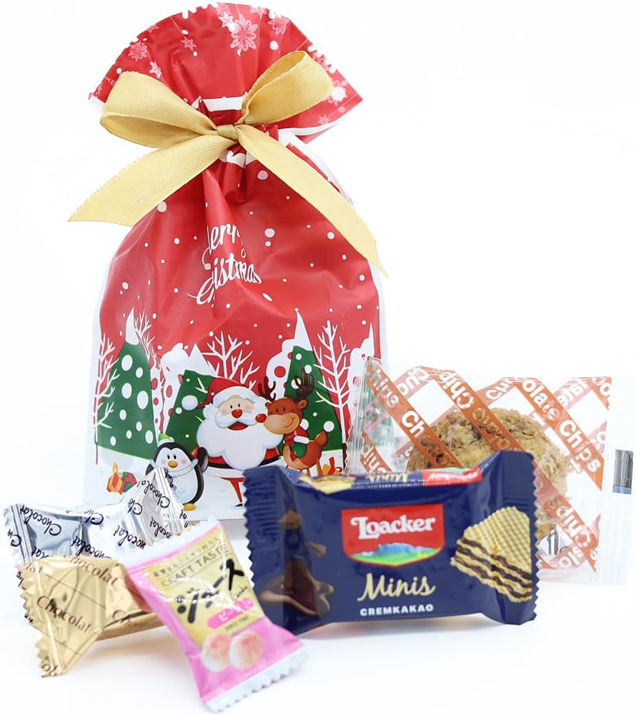 クリスマス 御菓子 詰め合わせ クリスマスプレゼント お菓子 小分け ギフト 個包装 御菓子セット 子供 子供会 幼稚園 小学生 (6個セット クリスマス巾着)