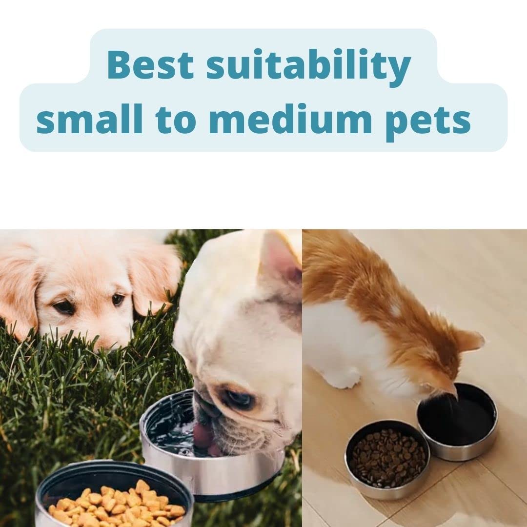 Bottiglia d'acqua 3 in 1 con 2 ciotole staccabili per cani, isolate sottovuoto portatili, viaggi, campeggio
