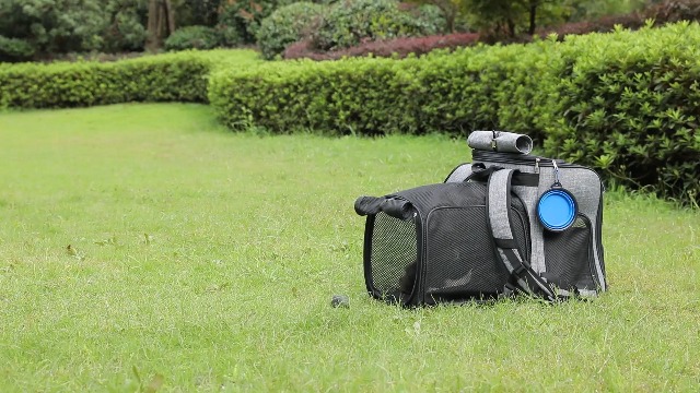 IDEE Expandable Pet Carrier Backpack,Dog Backpack Carrier,Cat Backpack Carrier Mesh Breathable with Transparent Window… - Image 8