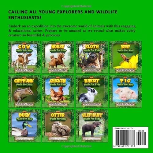 Epic Duck Facts for Kids: Fascinating Photos & Interesting Info for Young Wildlife Fans