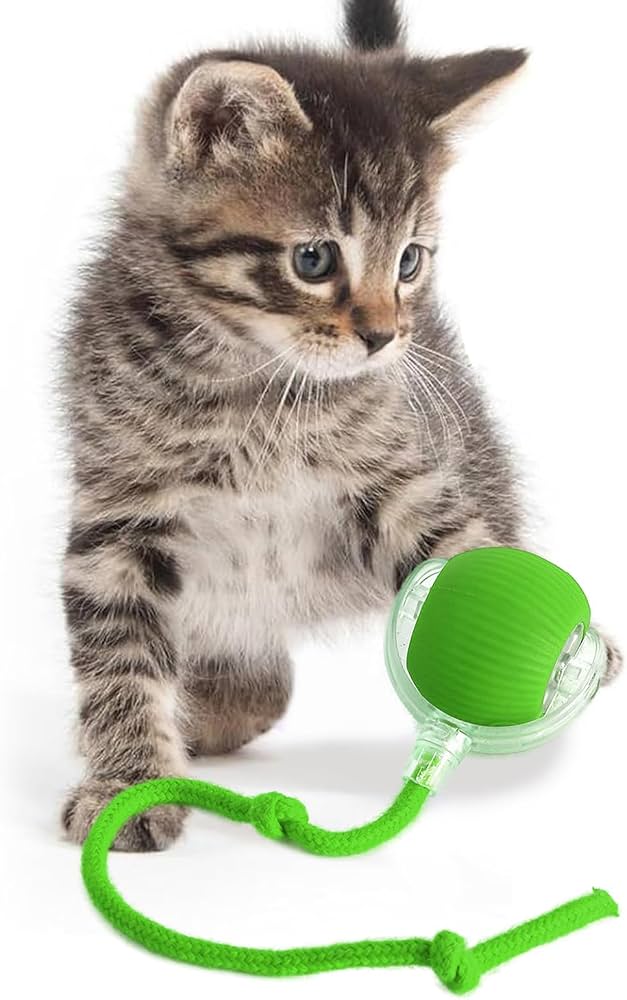 Giocattolo Intelligente Per Gatti WheatThrive - Bruco Automatico Con Sensore E Ricarica USB - Foto 8