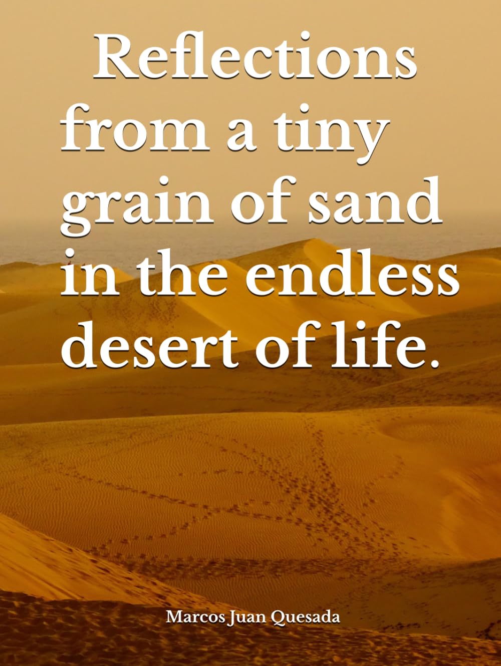 Reflections from a tiny grain of sand in the endless desert of life.
