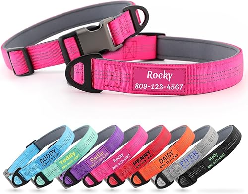 Collares de perro personalizados con nombre y número de teléfono, hebilla de metal duradera, collar de nailon reflectante acolchado de neopreno