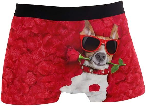Amazon ボクサーパンツ メンズ 犬 赤いロース 下着 男性用 アンダーウェア ボクサーブリーフ 男性用 インナー 吸水速乾 フィット 柔らかい 通気性 デザイン 耐久性 ボクサー 通販