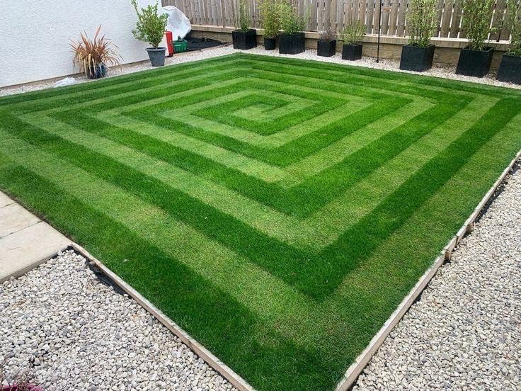 Premium Lawn Grass Seeds – Ideal for Fast-Growing, Gorgeous Green Coverage | Pack of 14000