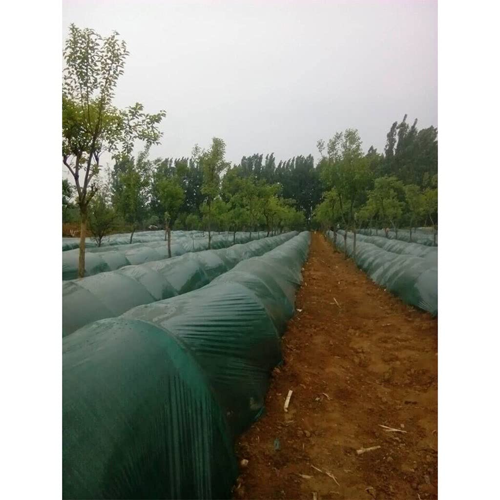 Película De Mulch De Plástico Verde Agrícola, Película De Invernadero De 1,2 M De Ancho, Película Especial para Jengibre/Tomate/Vegetal Y Aislamiento Térmico De Ajo, 1pcs