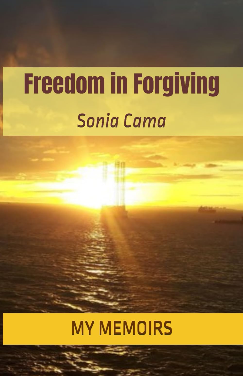 Freedom in Forgiving: My Life Story