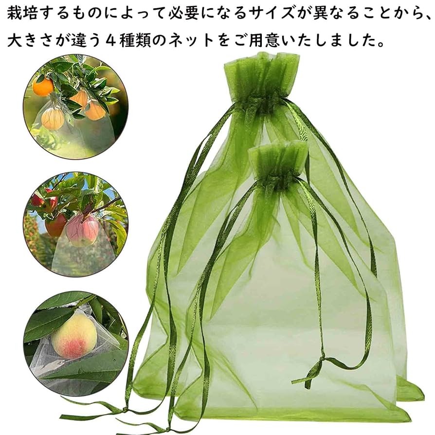 袋網うけ imgrc0069736380.jpg