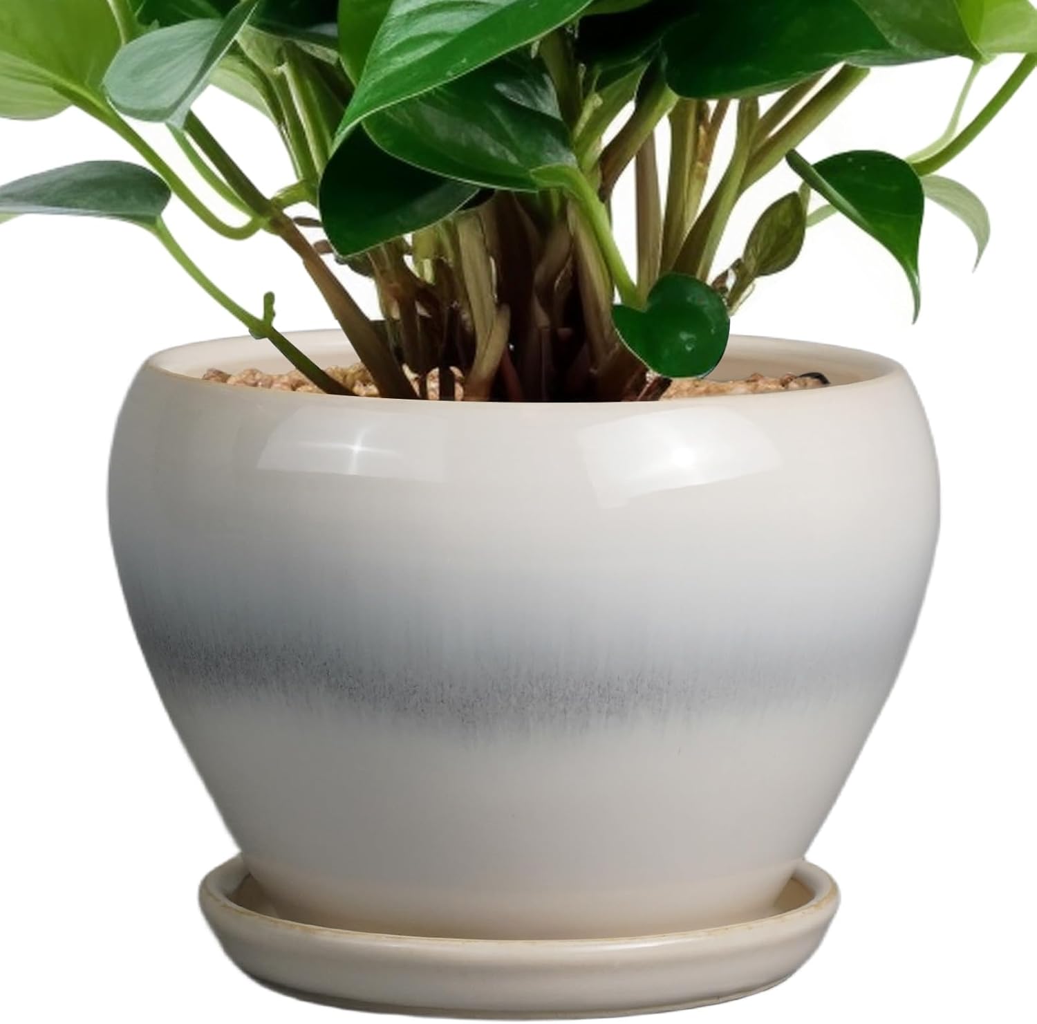Product image of Planter Pot 6 Inch - Ceramic Plant Pot with Drainage Hole and Saucer, Round Glaze Succulent Pot for Plants, White
