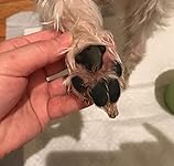 Review Image by Sandra Sandra