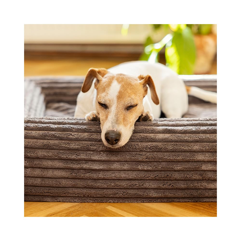 Orthopädisches Hundebett Cloud – Komfortable Hundematte mit Memory-Schaum, Abnehmbarer Bezug & Rutschfester Unterseite – 4 Größen (XS–L) & 4 Farben (S 80x60 Dusty Pink)