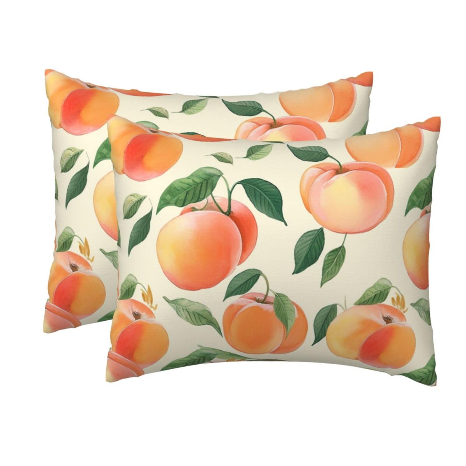 2 Pack Standard Size Pillow Cases for Hair and Skin Soft Breathable Pillow Case Covers with Hidden Zipper Peach Pillowcase 20x26 Inches Pillow Cover for Sleeping Gift