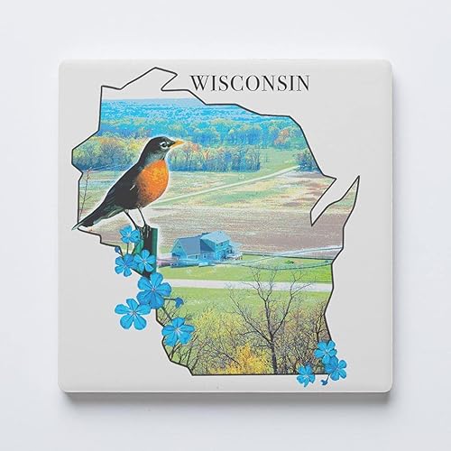 Posavasos del estado de Wisconsin, decoración Joyride para el hogar, portavasos de cerámica individual, portavasos cuadrado individual de 4 Posavasos del estado de Wisconsin, decoración Joyride para el hogar, portavasos de cerámica individual, portavasos cuadrado individual de 4