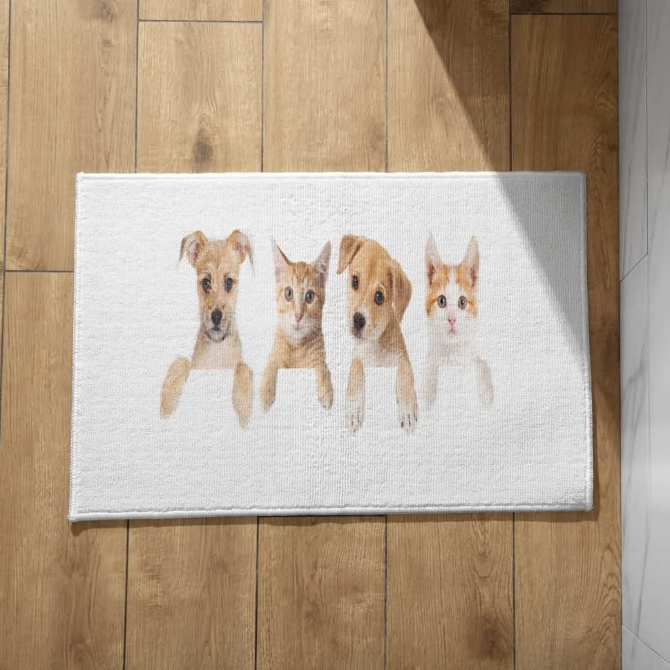 Tapis entree exterieur anti salissure pour les chats et chiens