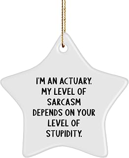 Funny Actuary Gifts - 'I'm an Actuary. My Level of Sarcasm Depends On Your Level of Stupidity.' Star Ornament for Men, Women, or Coworkers, Perfect for Christmas