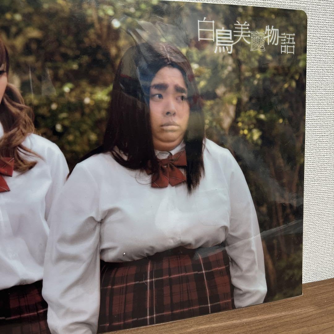 【各200円】ピカルの定理 クリアファイル Amazon.co.jp: ピカルの定理 クリアファイル 渡辺直美、吉村崇