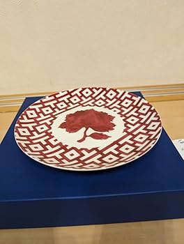 Richard Ginori リチャードジノリ　マルコポーロ　お椀　皿 Amazon.co.jp: リチャードジノリ マルコポーロ レッド プレート 21cm